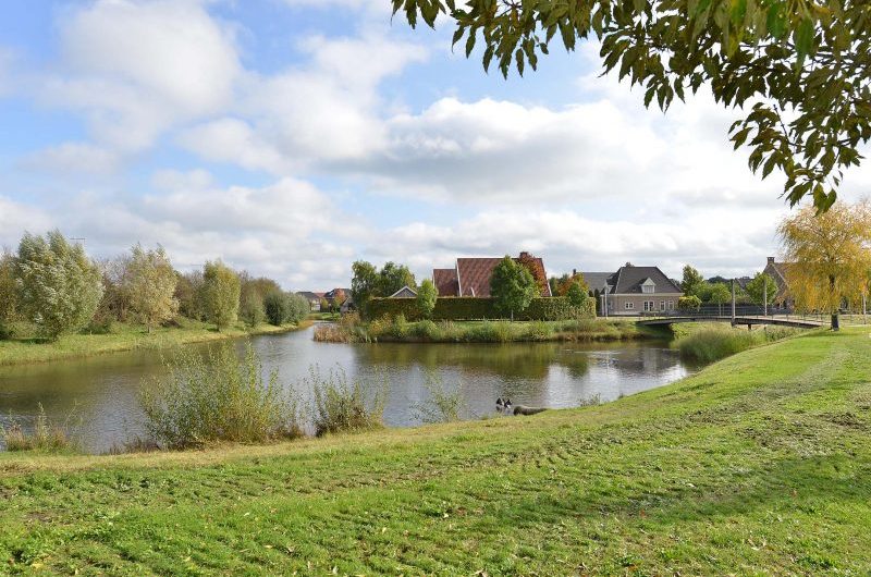 Weegbree 2 – [2021]