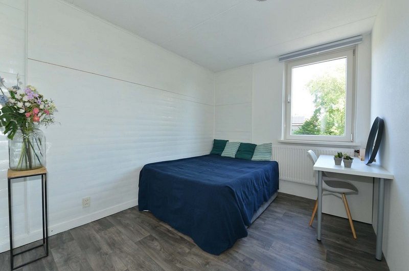 Carel Fabritiusstraat 32