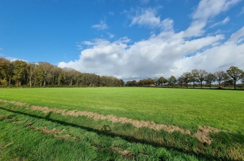 Wiener-Benteler-Scheidingsweg 6