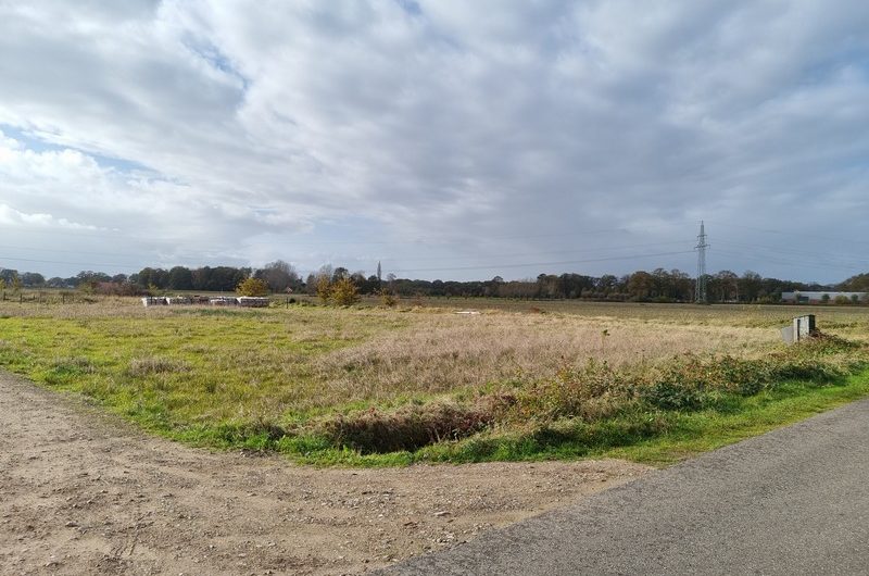 Wiener-Benteler-Scheidingsweg 6