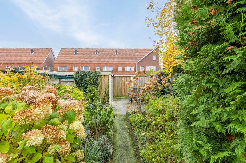 Olivier van Noortstraat 31