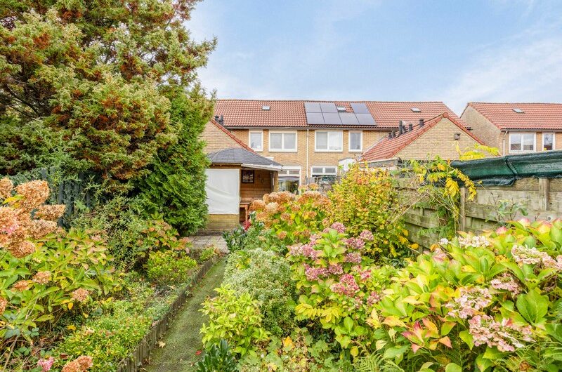 Olivier van Noortstraat 31